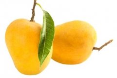 ratnagiri-alphonso-mango-online