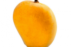 ratnagiri alphonso mango