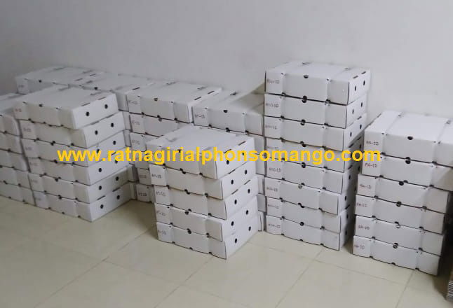 alphonso mango store