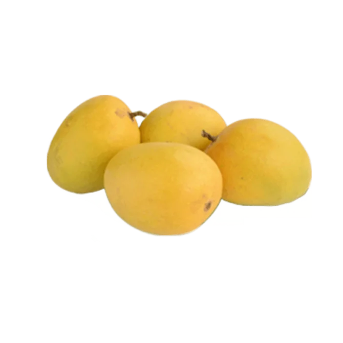 genuine alphonso mango